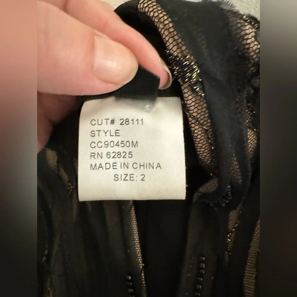 Tadashi Shoji Sheath Dress Size 2 Silk Blend Overlay Beaded Pleated Cocktail - Picture 12 of 13